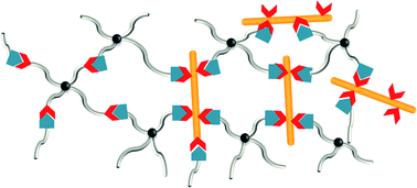 Graphical abstract: Charge-tuning of glycosaminoglycan-based hydrogels to program cytokine sequestration