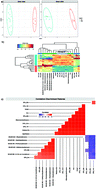 Graphical abstract: Systems biology approach to elucidation of contaminant biodegradation in complex samples – integration of high-resolution analytical and molecular tools