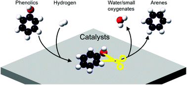 Graphical abstract: Recent advances in the selective catalytic hydrodeoxygenation of lignin-derived oxygenates to arenes