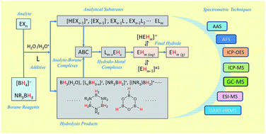 Graphical abstract: The contribution of chemical vapor generation coupled with atomic or mass spectrometry to the comprehension of the chemistry of aqueous boranes