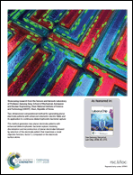 Graphical abstract: Inside back cover