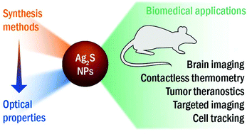 Graphical abstract: Perspectives for Ag2S NIR-II nanoparticles in biomedicine: from imaging to multifunctionality