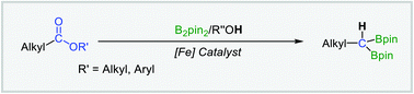 Graphical abstract: Cooperation between an alcoholic proton and boryl species in the catalytic gem-hydrodiborylation of carboxylic esters to access 1,1-diborylalkanes