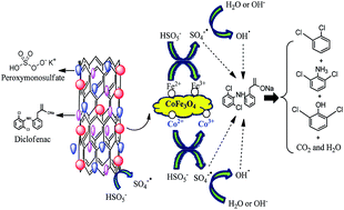 Graphical abstract: Catalytic degradation of diclofenac from aqueous solutions using peroxymonosulfate activated by magnetic MWCNTs-CoFe3O4 nanoparticles