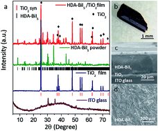 Graphical abstract: Polarization-enhanced photoelectric performance in a molecular ferroelectric hexane-1,6-diammonium pentaiodobismuth (HDA-BiI5)-based solar device