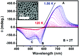 Graphical abstract: Giant band splittings in EuS and EuSe magnetic semiconductor nanocrystals