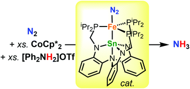 Graphical abstract: Bimetallic iron–tin catalyst for N2 to NH3 and a silyldiazenido model intermediate