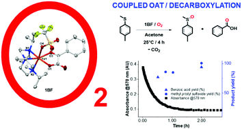 Graphical abstract: Catalytic O2 activation with synthetic models of α-ketoglutarate dependent oxygenases