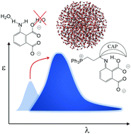 Graphical abstract: On the chemiluminescence emission of luminol: protic and aprotic solvents and encapsulation to improve the properties in aqueous solution