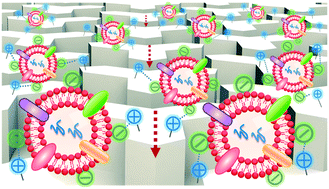 Graphical abstract: Simple and fast isolation of circulating exosomes with a chitosan modified shuttle flow microchip for breast cancer diagnosis