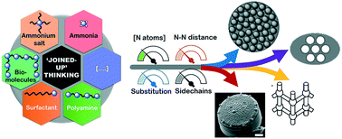 Graphical abstract: Unified mechanistic interpretation of amine-assisted silica synthesis methods to enable design of more complex materials