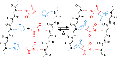 Graphical abstract: Temperature-mediated molecular ladder self-assembly employing Diels–Alder cycloaddition