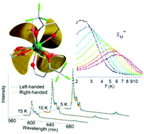 Graphical abstract: Concomitant emergence of circularly polarized luminescence and single-molecule magnet behavior in chiral-at-metal Dy complex