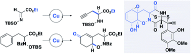 Graphical abstract: A copper-catalyzed asymmetric oxime propargylation enables the synthesis of the gliovirin tetrahydro-1,2-oxazine core