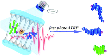 Graphical abstract: Biomimetic controlled radical photopolymerization in a two-dimensional organized environment under visible light