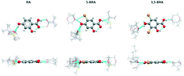 Graphical abstract: Steric influence on solvate formation – a comparison of resorcylic acid and two brominated derivatives