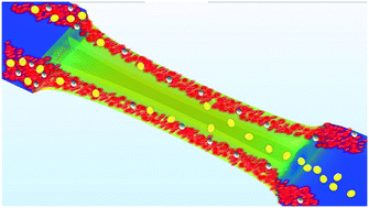 Graphical abstract: Size-tuneable isolation of cancer cells using stretchable inertial microfluidics