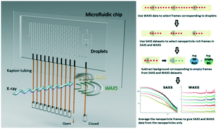 Graphical abstract: An innovative data processing method for studying nanoparticle formation in droplet microfluidics using X-rays scattering