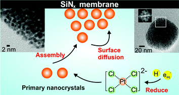 Graphical abstract: Real-time imaging of metallic supraparticle assembly during nanoparticle synthesis