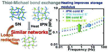 Graphical abstract: Dynamic covalent chemistry for architecture changing interpenetrated and single networks