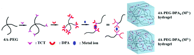 Graphical abstract: Di(2-picolyl)amine-functionalized poly(ethylene glycol) hydrogels with tailorable metal–ligand coordination crosslinking