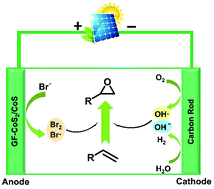 Graphical abstract: Bromine and oxygen redox species mediated highly selective electro-epoxidation of styrene