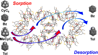 Graphical abstract: Facile separation of cyclic aliphatic and aromatic vapors using crystalline thiacalixarene assemblies with preorganized channels