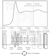 Graphical abstract: Beyond structural insight: a deep neural network for the prediction of Pt L2/3-edge X-ray absorption spectra