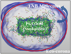 Graphical abstract: Interfacial interactions of humic acids with polystyrene nano-plastics in aqueous/ionic environments: a molecular dynamics exploration