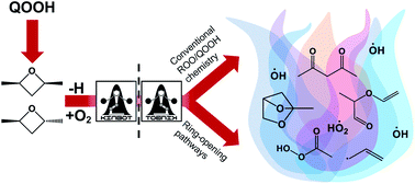 Graphical abstract: Stereoisomer-dependent unimolecular kinetics of 2,4-dimethyloxetanyl peroxy radicals