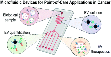 Graphical abstract: Microfluidic platforms for extracellular vesicle isolation, analysis and therapy in cancer