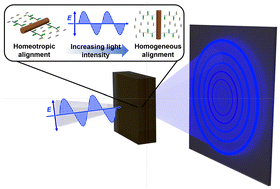 Graphical abstract: Polymer-grafted ZnO nanorods enhance optical nonlinearity of oligothiophene-doped liquid crystals