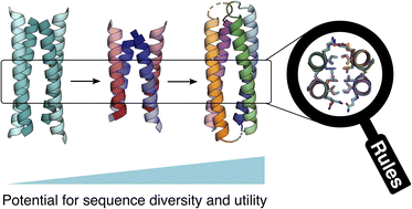 Graphical abstract: From peptides to proteins: coiled-coil tetramers to single-chain 4-helix bundles