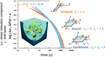 Graphical abstract: Time–strain inseparability in multiaxial stress relaxation of supramolecular gels formed via host–guest interactions