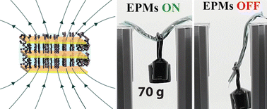 Graphical abstract: Magnetically induced stiffening for soft robotics