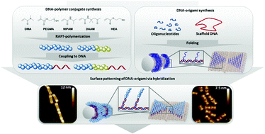 Graphical abstract: Nanoscale patterning of polymers on DNA origami