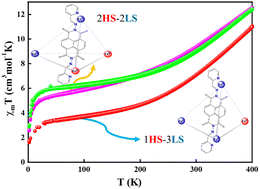 Graphical abstract: Spin-state versatility in FeII4L6 supramolecular cages with a pyridyl-hydrazone ligand scaffold modulated by solvents and counter anions