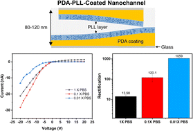 Graphical abstract: Nanofluidic diodes based on asymmetric bio-inspired surface coatings in straight glass nanochannels