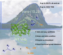 Graphical abstract: Vitreoscilla hemoglobin: a natural carbene transfer catalyst for diastereo- and enantioselective synthesis of nitrile-substituted cyclopropanes