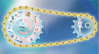 Graphical abstract: Advancing piezoelectric 2D nanomaterials for applications in drug delivery systems and therapeutic approaches