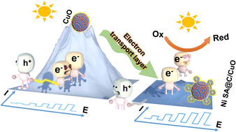 Graphical abstract: Engineering the microenvironment of electron transport layers with nickle single-atom sites for boosting photoelectrochemical performance