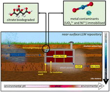 Graphical abstract: Anaerobic biodegradation of citric acid in the presence of Ni and U at alkaline pH; impact on metal fate and speciation