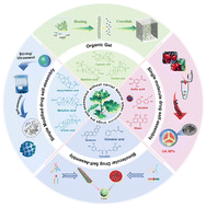 Graphical abstract: Recent advances in carrier-free natural small molecule self-assembly for drug delivery