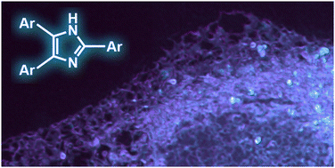 Graphical abstract: Lophine analogues as fluorophores for selective bioimaging of the endoplasmic reticulum
