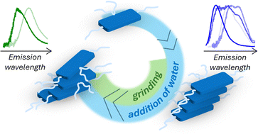 Graphical abstract: The effects of alkyl substitution on the aggregation of π-conjugated dyes: spectroscopic study and modelling