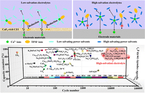 Graphical abstract: High-solvation electrolytes for ultra-stable calcium-ion storage