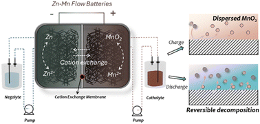 Graphical abstract: Cation-regulated MnO2 reduction reaction enabling long-term stable zinc–manganese flow batteries with high energy density