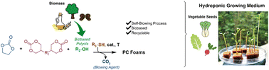 Graphical abstract: Sustainable and biobased self-blown polycarbonate foams: from synthesis to application