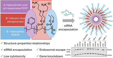 Graphical abstract: Phosphorous-containing, amphiphilic ABB′ copolymers as siRNA nanocarriers with enhanced stability, reduced in vitro cytotoxicity, and efficient knockdown ability for the treatment of ocular diseases