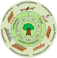 Graphical abstract: Advanced wood–inorganic composites: preparation, properties and perspectives